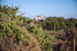 Saint Dionysios Church (Agios Fokas) - Image 7