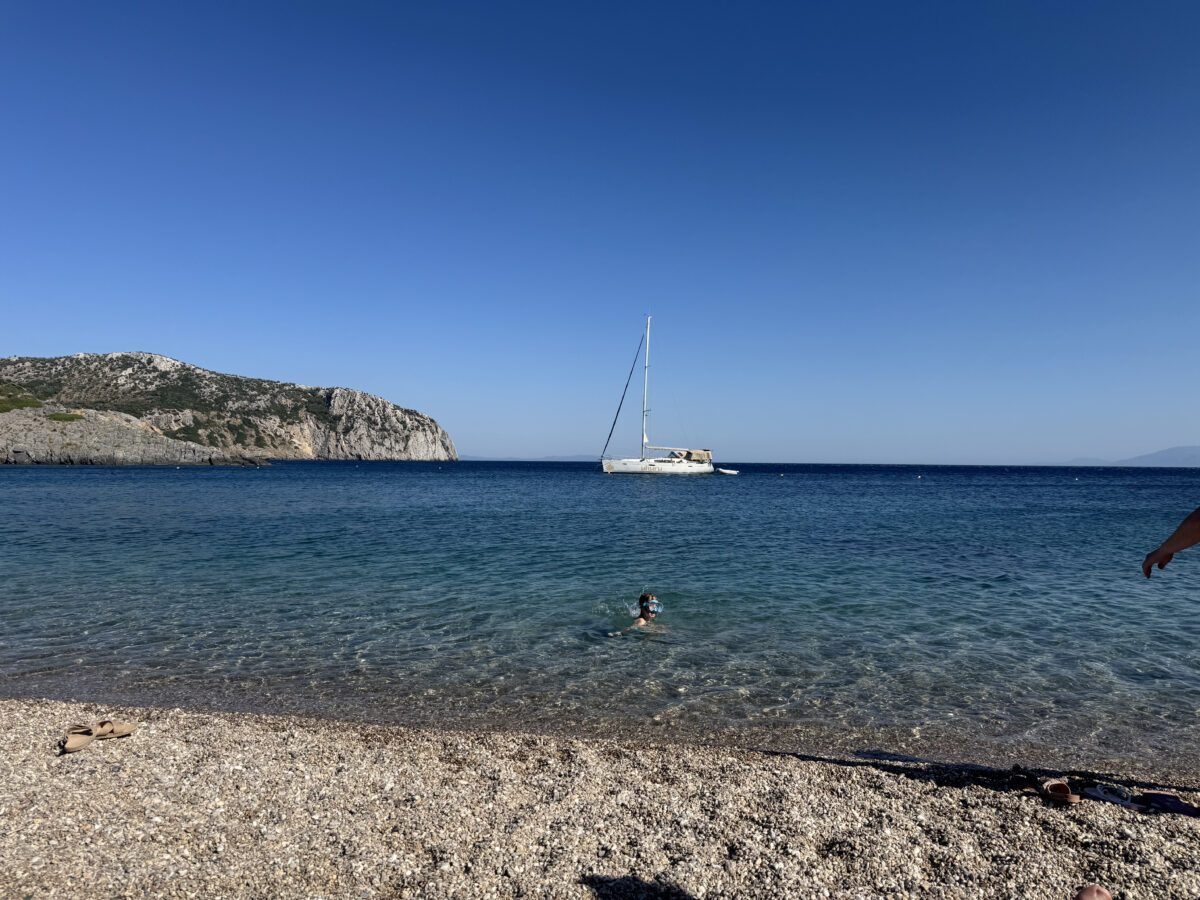 Τάρτι