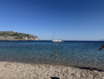 Τάρτι