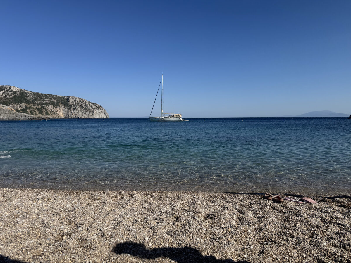 Τάρτι