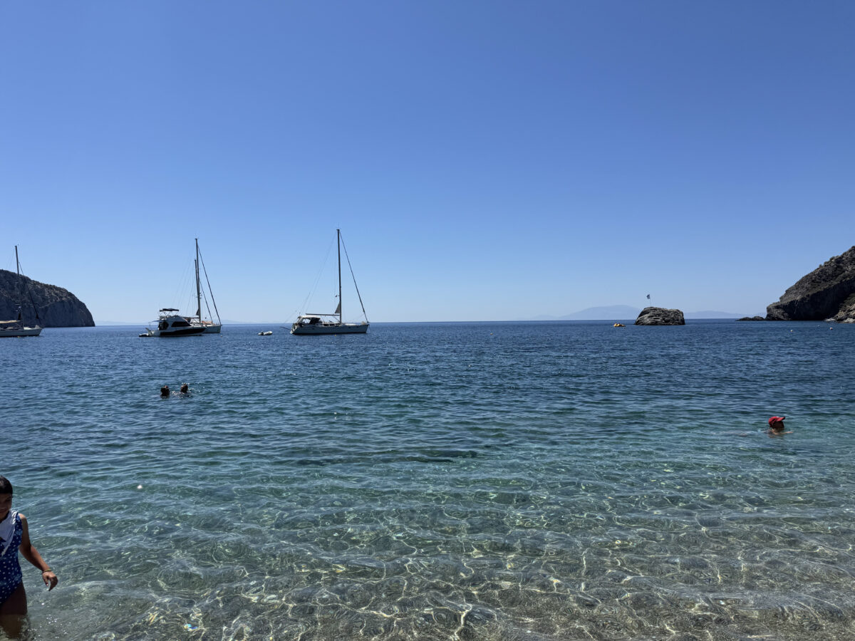 Τάρτι