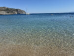 Τάρτι