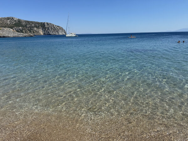 Τάρτι