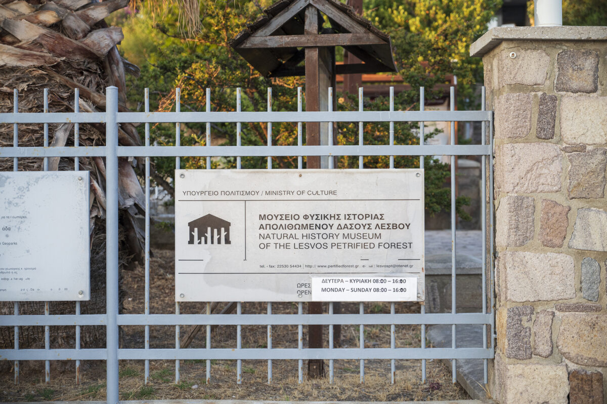 Natural History Museum of the Lesvos Petrified Forest - Image 2