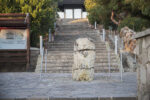 Natural History Museum of the Lesvos Petrified Forest - Image 3