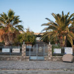 Natural History Museum of the Lesvos Petrified Forest