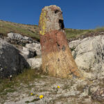Museum of the Lesvos Petrified Forest
