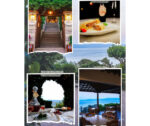 Malathra – Authentic Flavors of Lesvos - Image 4