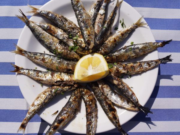 Gastronomy-3-scaled-e1649067984576-2048x2048