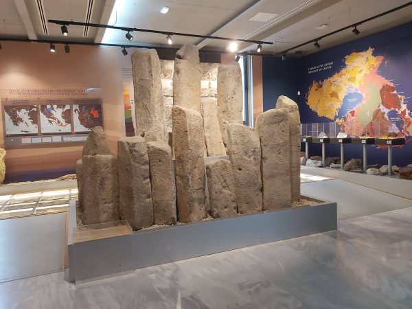 Museum-of-the-Petrified-Forest-1-1