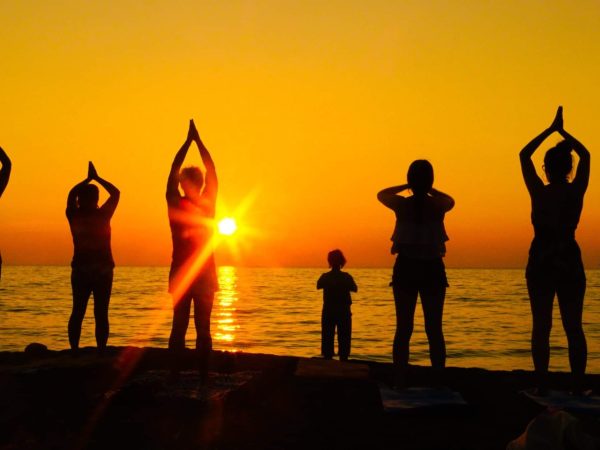 Wellness-2